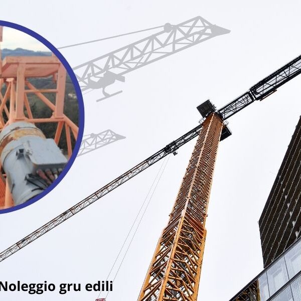 Noleggio Gru Edili a Modena da FD Gru