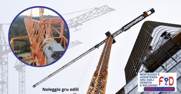 Noleggio Gru Edili a Modena da FD Gru